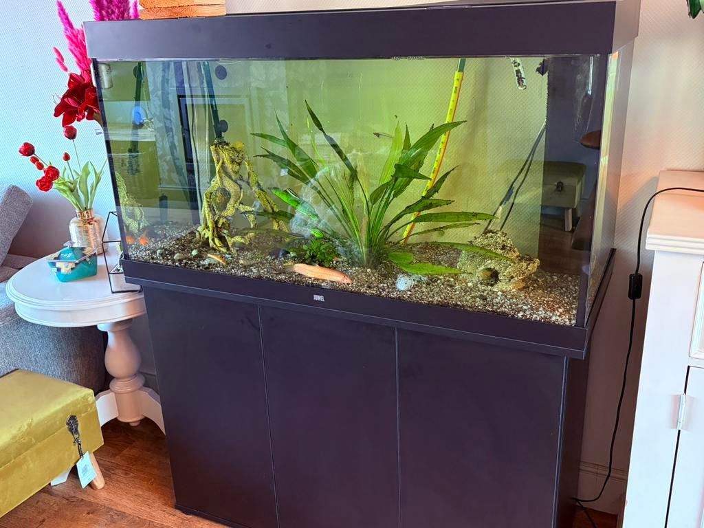 Aquarim 300 liter, Dieren en Toebehoren, Vissen | Aquaria en Toebehoren, Ophalen, Zo goed als nieuw, Filter