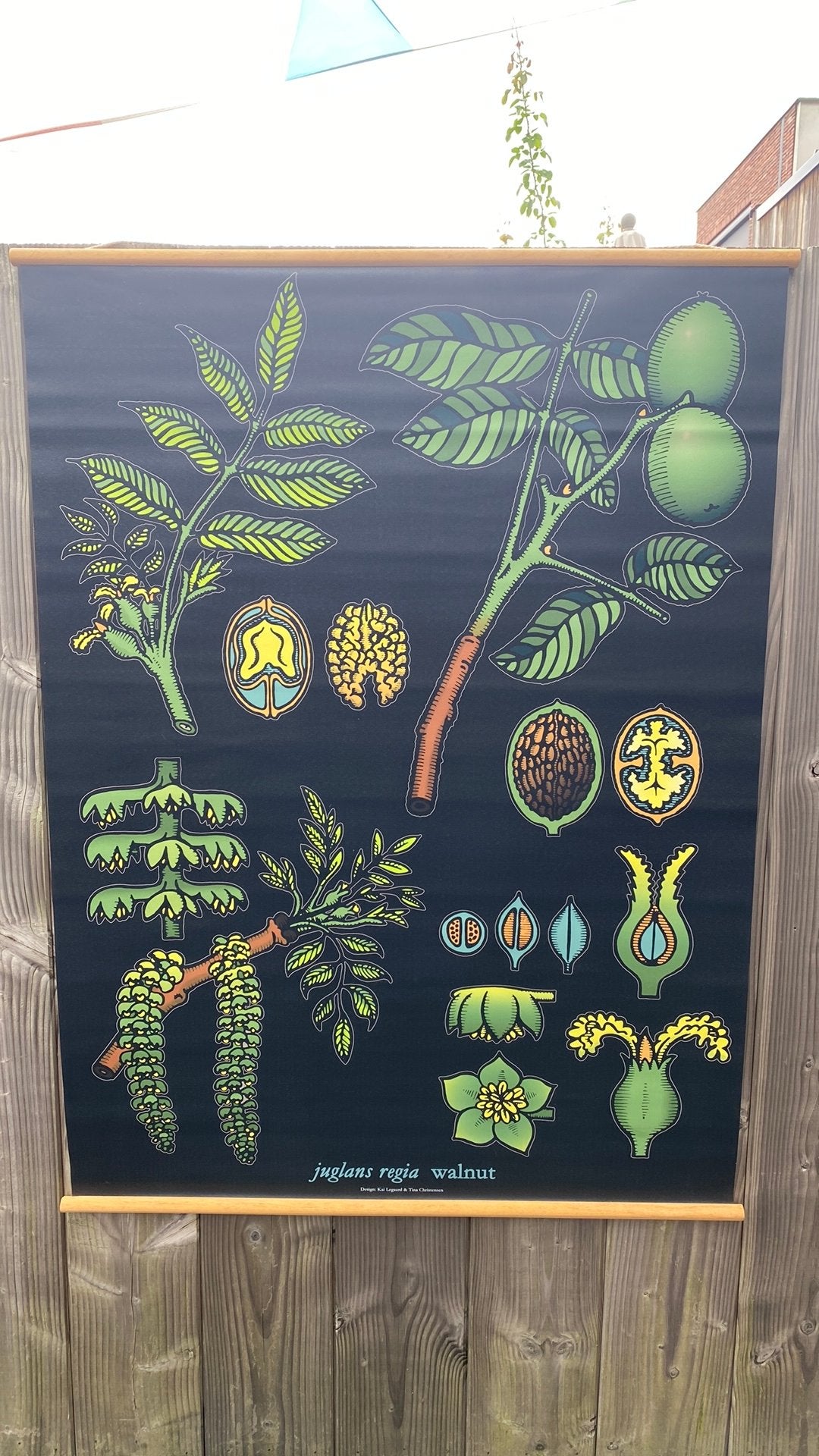 Botanische poster. Mooie staat, Ophalen
