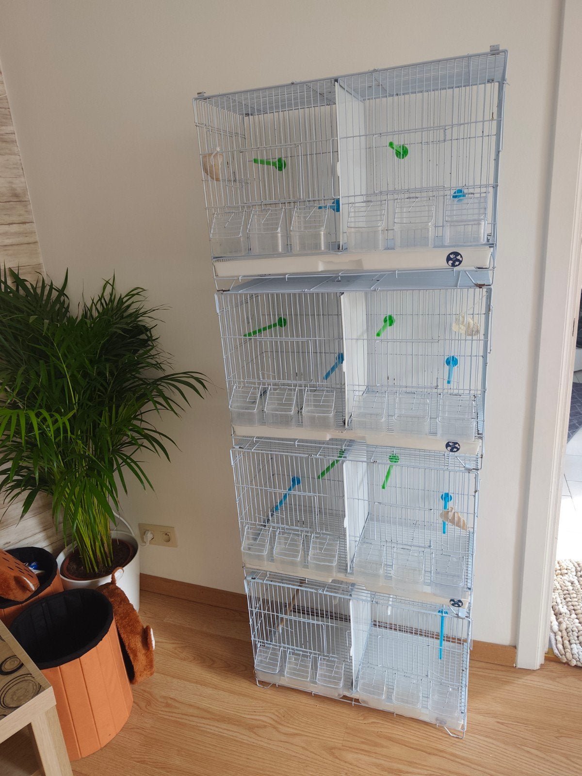 4 cage d'élevage 120€ pour les 4, Enlèvement ou Envoi