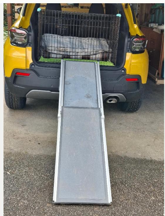 rampe télescopique pour chien SOLVIT, Animaux & Accessoires, Enlèvement, Utilisé