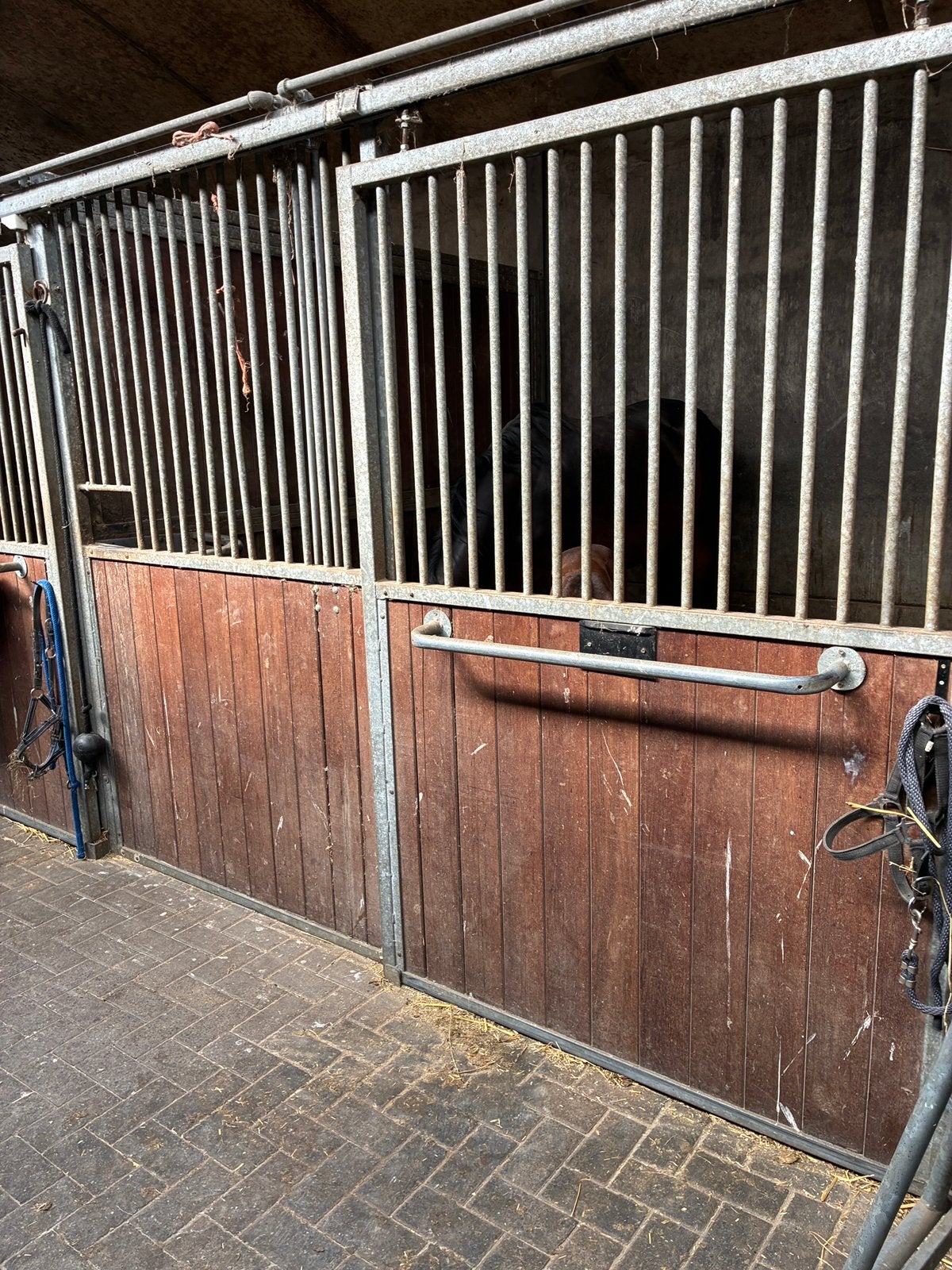 5 paardenstallen, Stalling, 4 paarden of pony's of meer