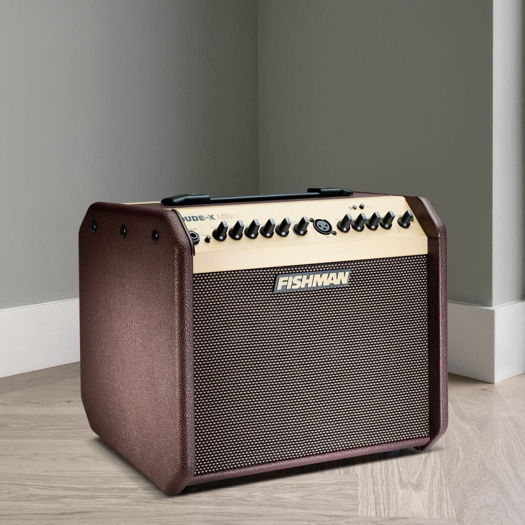 Fishman Loudbox Mini akoustische versterker "Nieuw", Muziek en Instrumenten, Versterkers | Bas en Gitaar, Ophalen, Nieuw, Gitaar