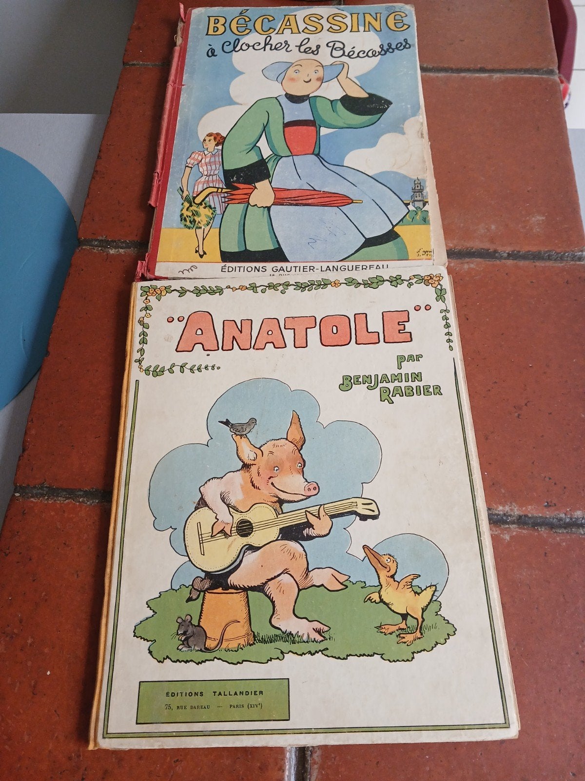 a vendre Anatole, Bécassine à Clocher les Bécasses, Enlèvement