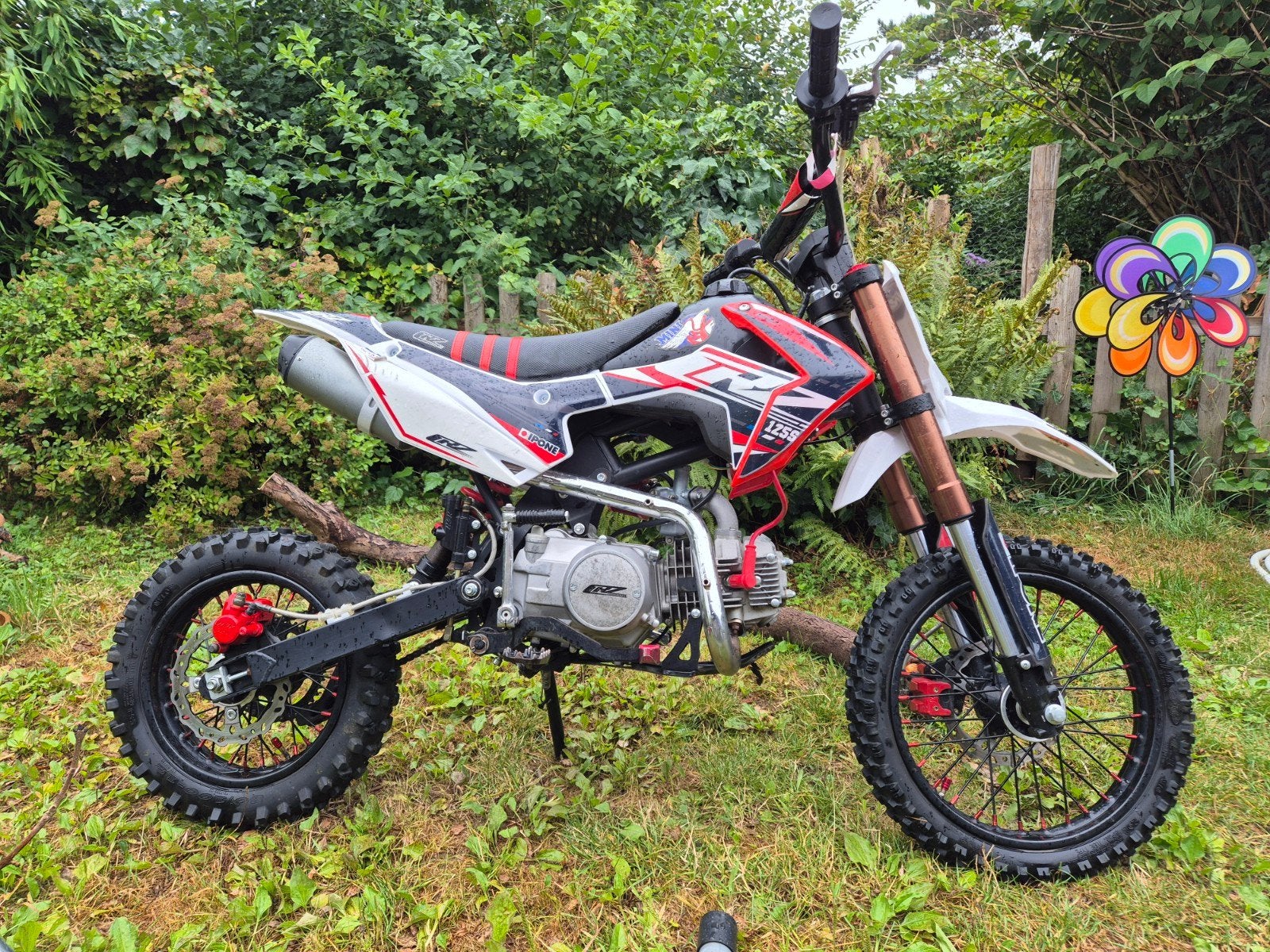 pit bike, Enlèvement, Frein à disque, 125 cm³, Pit Bike