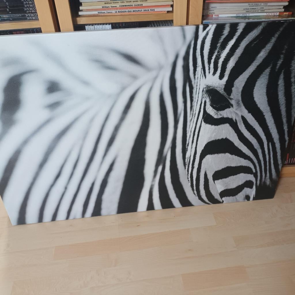 Toile représentant une tête de zèbre, Antiquités & Art, Enlèvement