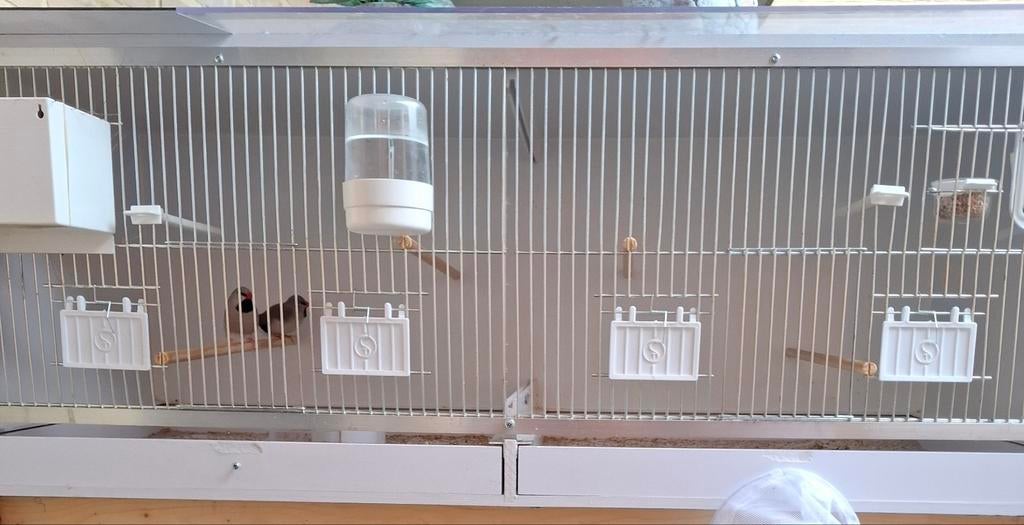 Kweekkooi pvc, Dieren en Toebehoren, Ophalen