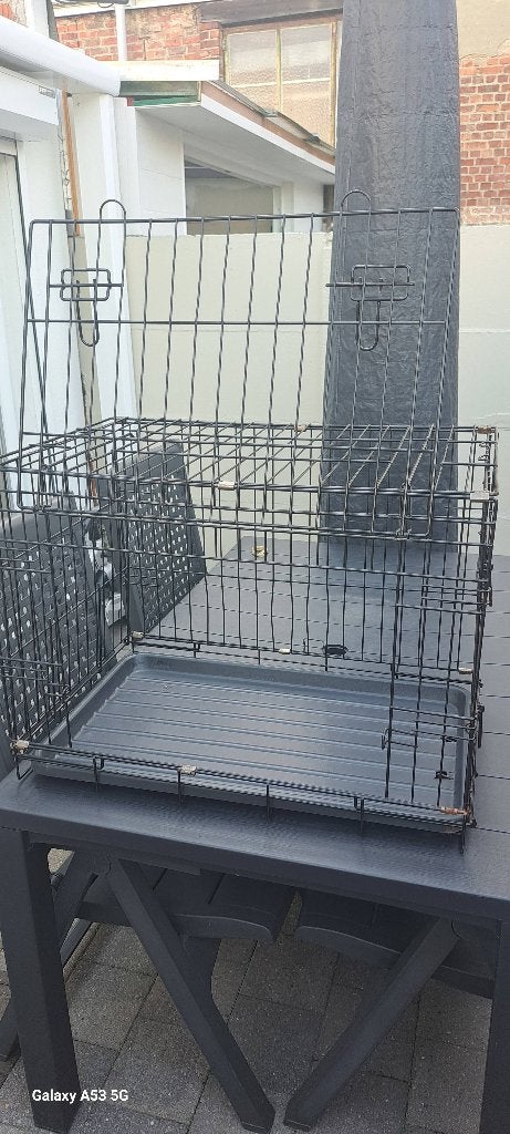 Bensch hond, Enlèvement, Utilisé
