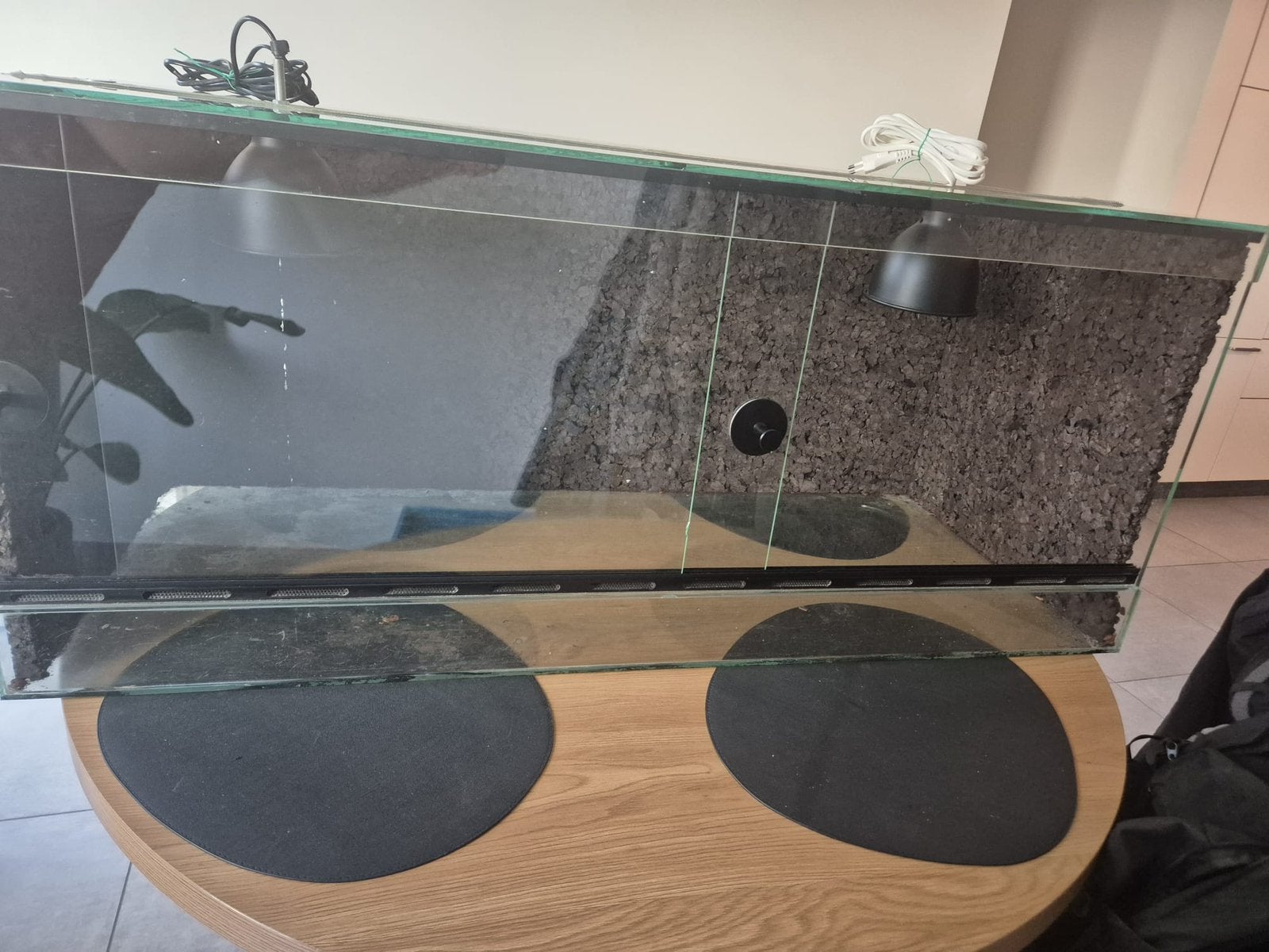 Terrarium 120x50x50, Animaux & Accessoires, Reptiles & Amphibiens | Accessoires, Enlèvement, Utilisé, Terrarium ou Paludarium