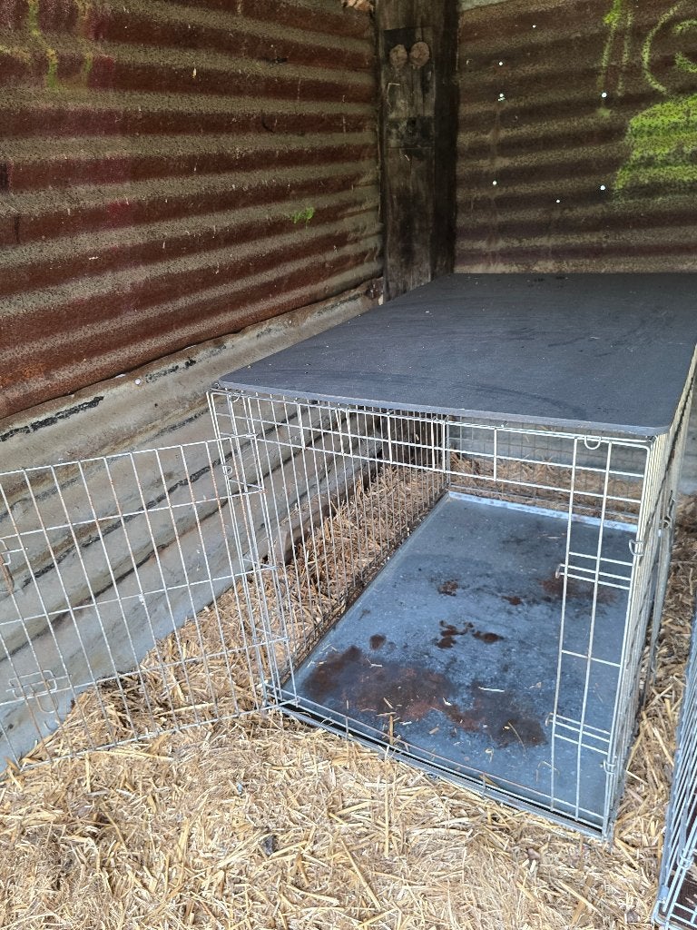 Cage pour chien, Animaux & Accessoires, Enlèvement, Utilisé