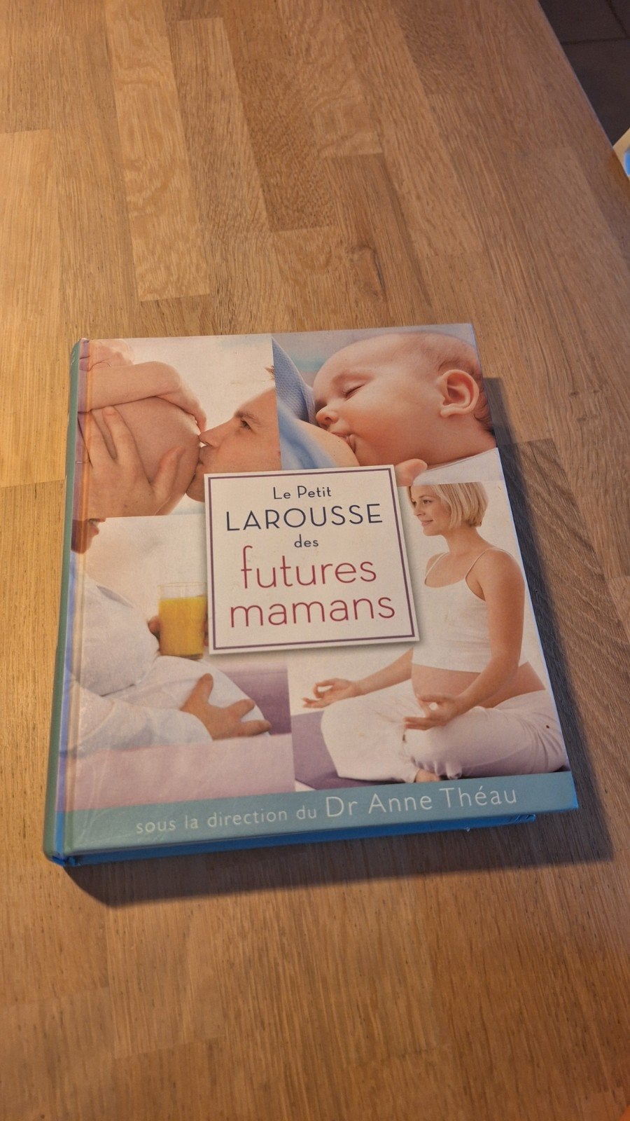 Livre Le Petit Larousse des futures mamans - Dr Anne Théau, Enlèvement, Comme neuf