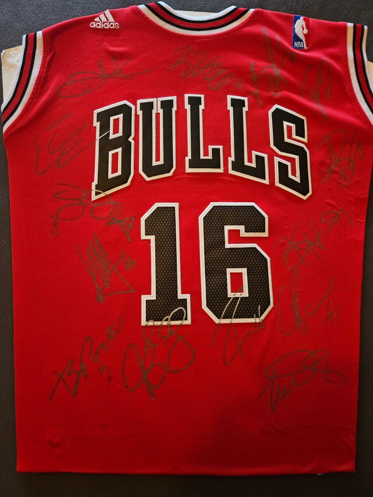 Chicago Bulls shirt met 14 handtekeningen!!, Enlèvement ou Envoi