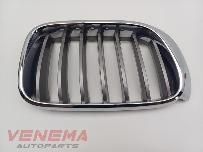 Grille van een BMW X3 (NVT), Gebruikt, -, -, Ophalen of Verzenden