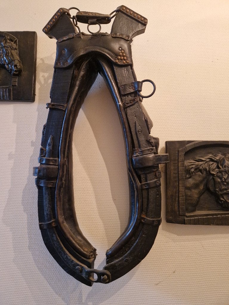 Gareel paard, Ophalen, Gebruikt