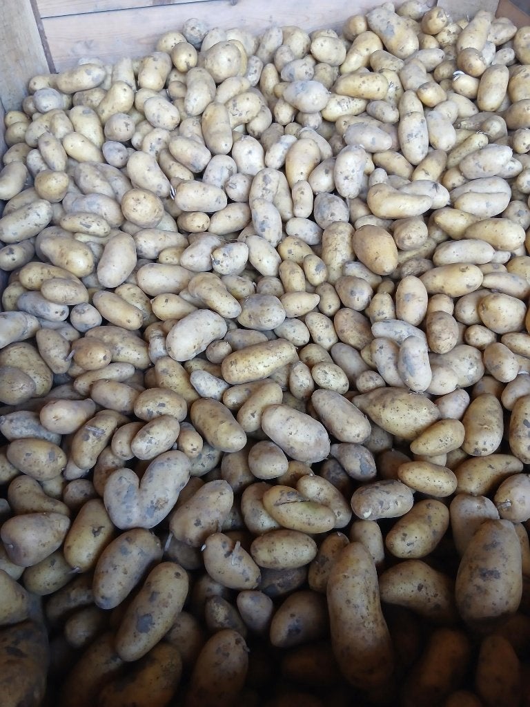 aardappelen annabelle vastkokend, Zakelijke goederen, Ophalen