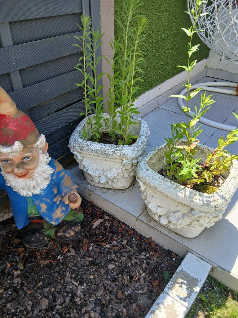 Bloembak, Ophalen, Steen, Gebruikt, Minder dan 60 cm