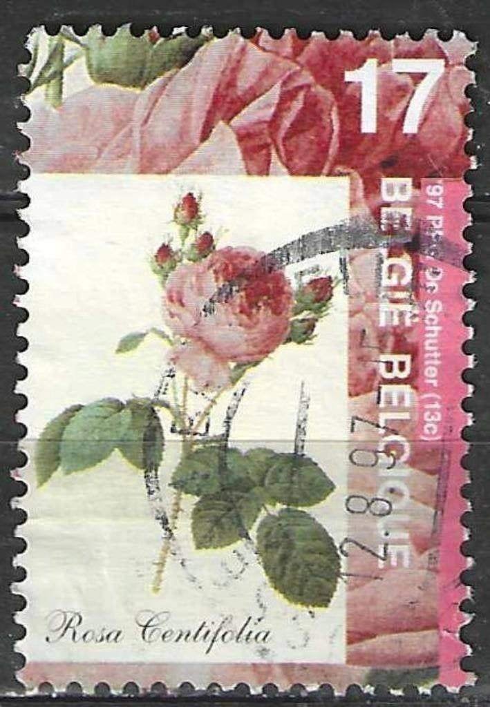 Belgie 1997 - Yvert 2711 /OBP 2710 - Flora - Rozen (ST), Verzenden, Gestempeld, Gestempeld