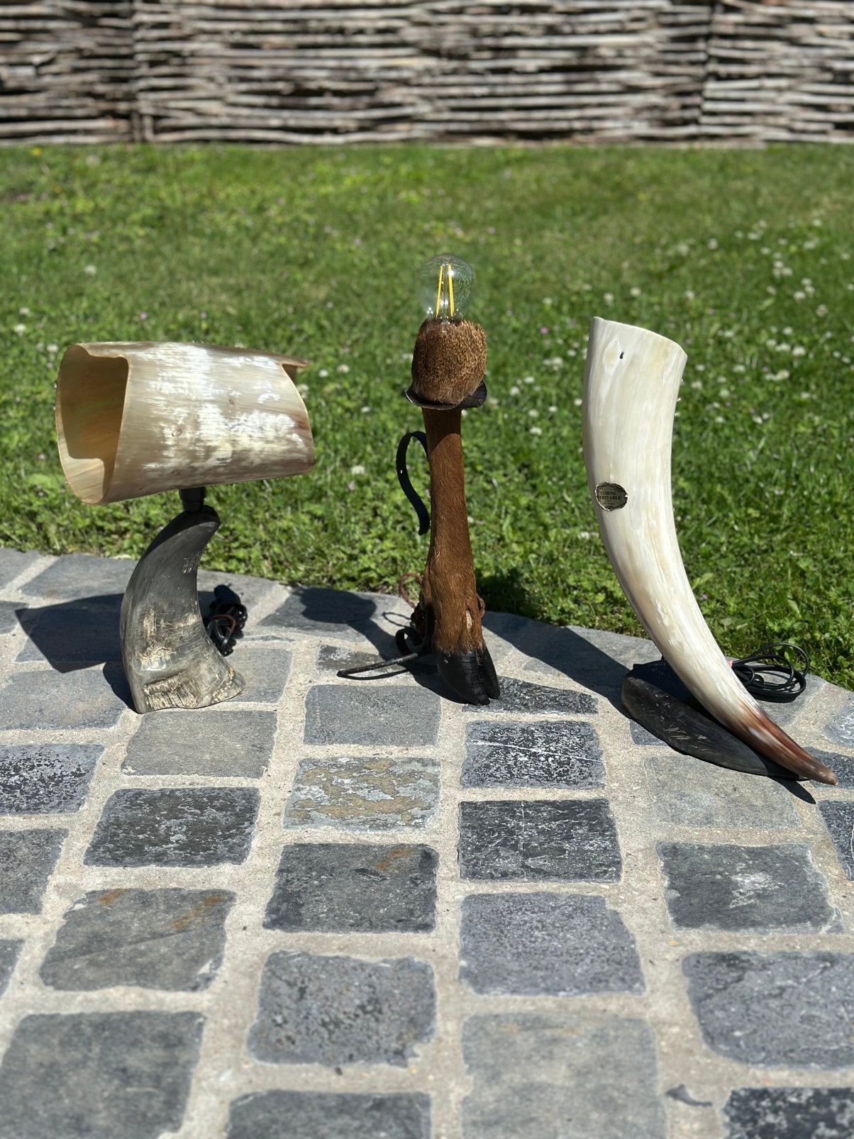 Lampen taxidermie, Maison & Meubles, Lampes | Appliques, Enlèvement, Comme neuf