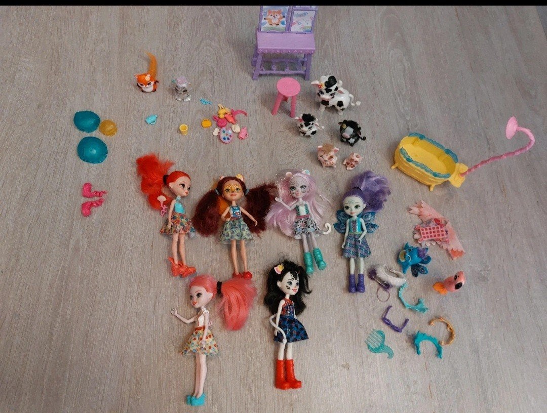 Lot enchantimals, Enlèvement ou Envoi