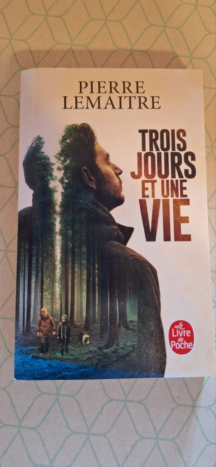PIERRE LEMAITRE - TROIS JOURS ET UNE VIE, Ophalen, PIERRE LEMAITRE