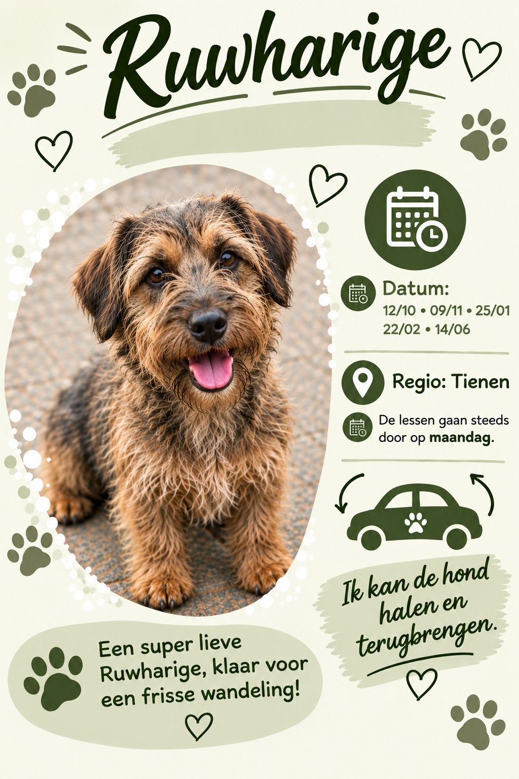 Gratis trimbeurt voor Ruwharige hondjes !, Animaux & Accessoires, Janvier, Plusieurs animaux