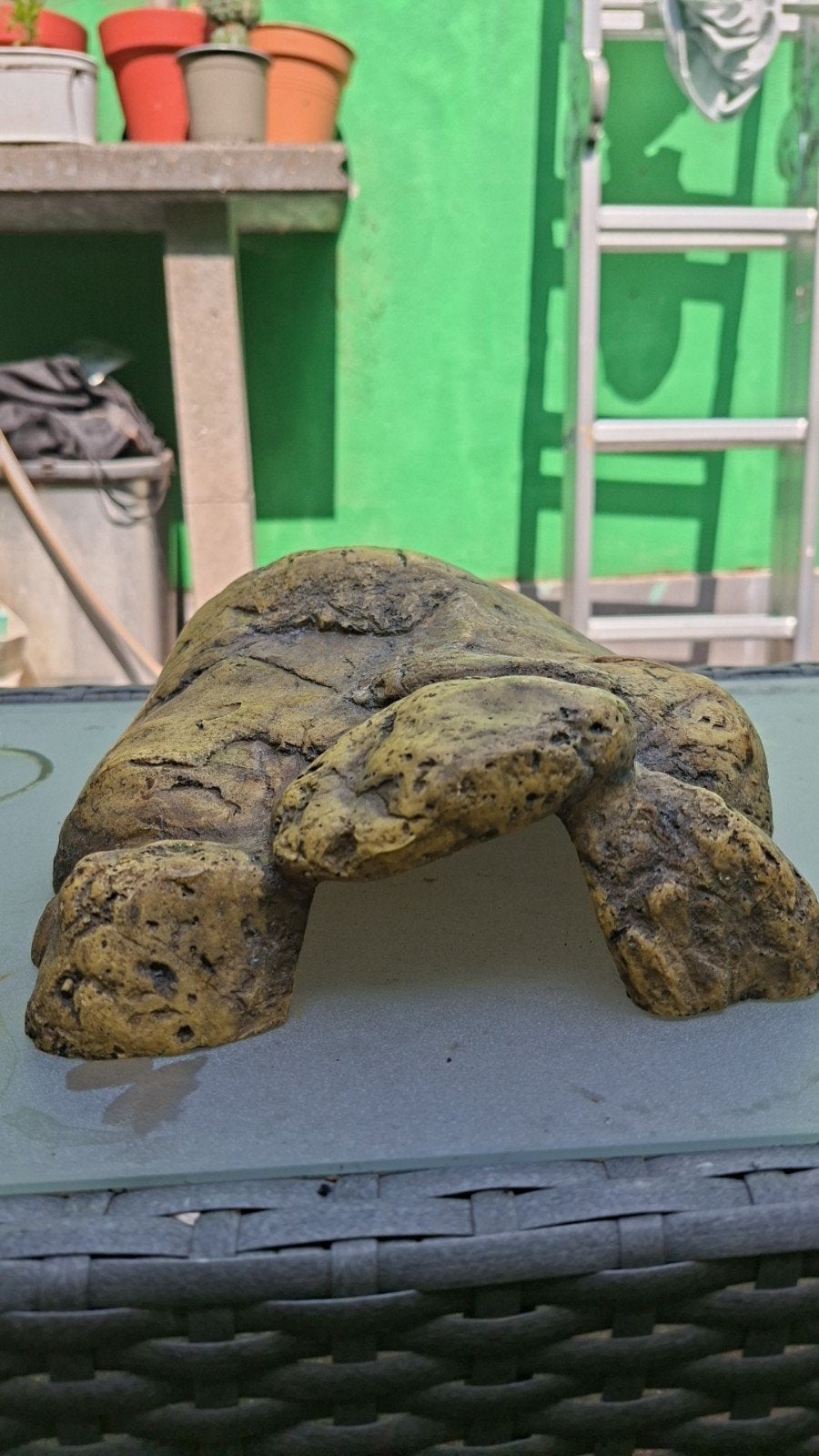 schuilplek voor kleine beestjes, 8 cm ingang, Dieren en Toebehoren, Ophalen of Verzenden, Zo goed als nieuw