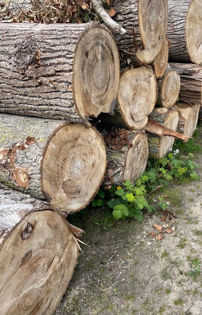 Kachel hout populier stam hout haard Acacia, Tuin en Terras, Brandhout, Ophalen, Stammen
