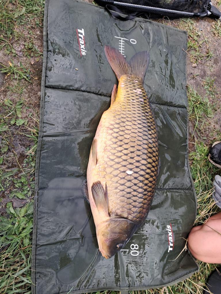 Boilie's te koop, Ophalen