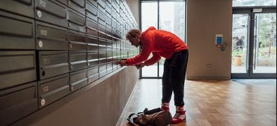 te huur: adres voor domicilie