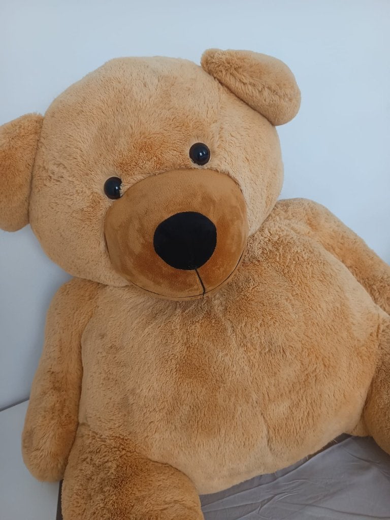 Prachtige Reuze Teddybeer (XXL) – In propere staat!, Verzamelen, Ophalen, Zo goed als nieuw, Overige typen, Overige merken