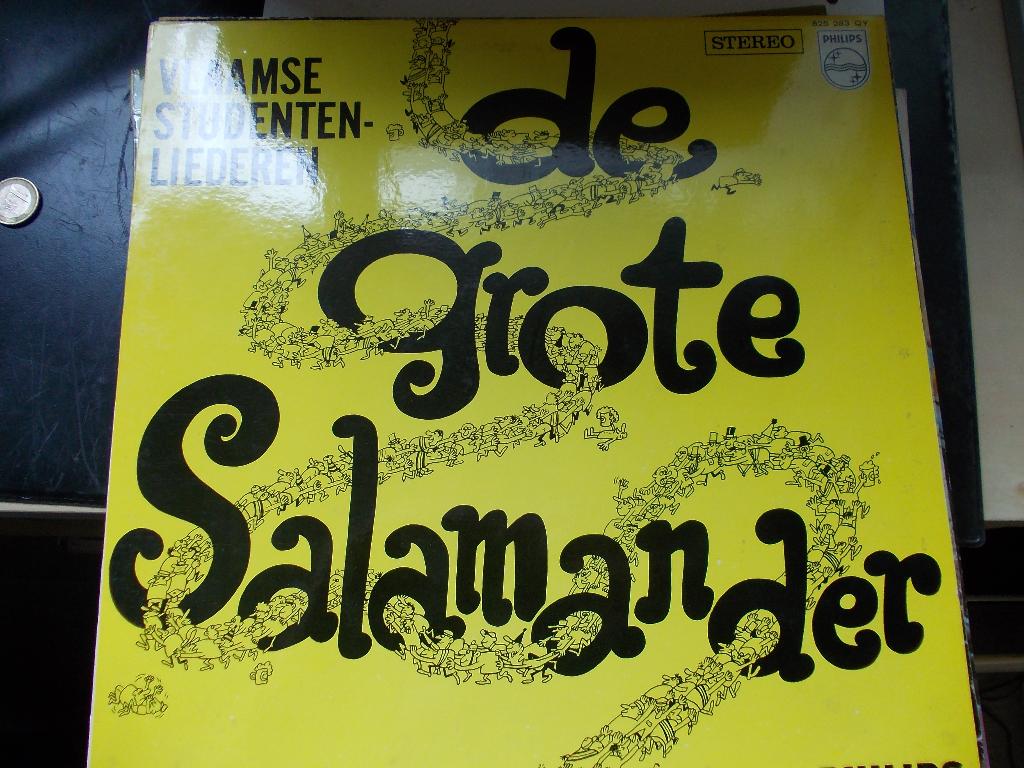 De Salamander, Cd's en Dvd's, Vinyl | Nederlandstalig, Gebruikt, Voor 1960, Ophalen of Verzenden, 12 inch
