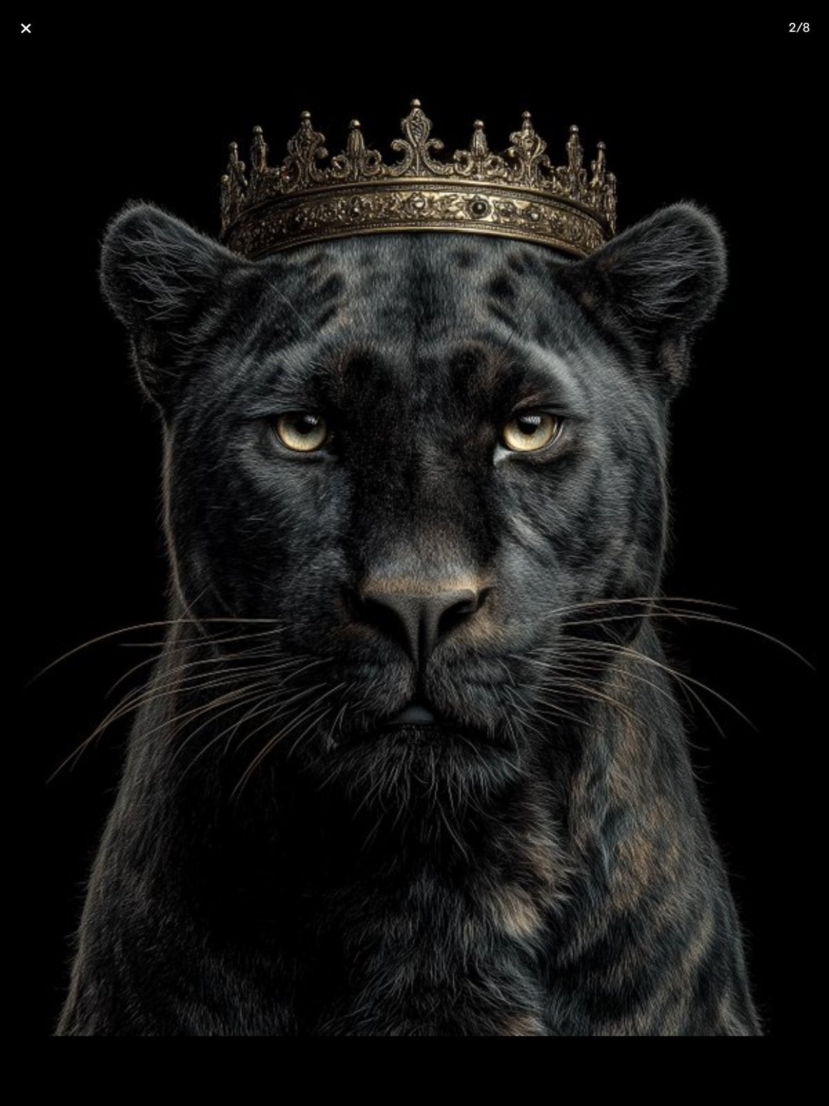 Off Axis - Black Panther XXL - Œuvre originale unique 1/1, Enlèvement ou Envoi, Technique mixte