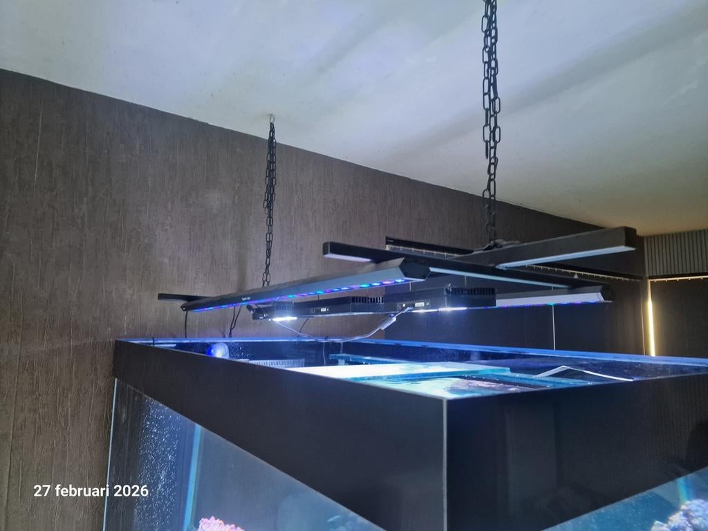 Zeeaquarium verlichting, Dieren en Toebehoren, Vissen | Aquaria en Toebehoren, Ophalen, Reef Factory