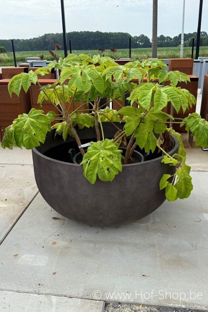 Toonzaalmodellen plantenbakken 'Cosapots' in polyester, Ophalen, Kunststof, Rond, Zo goed als nieuw