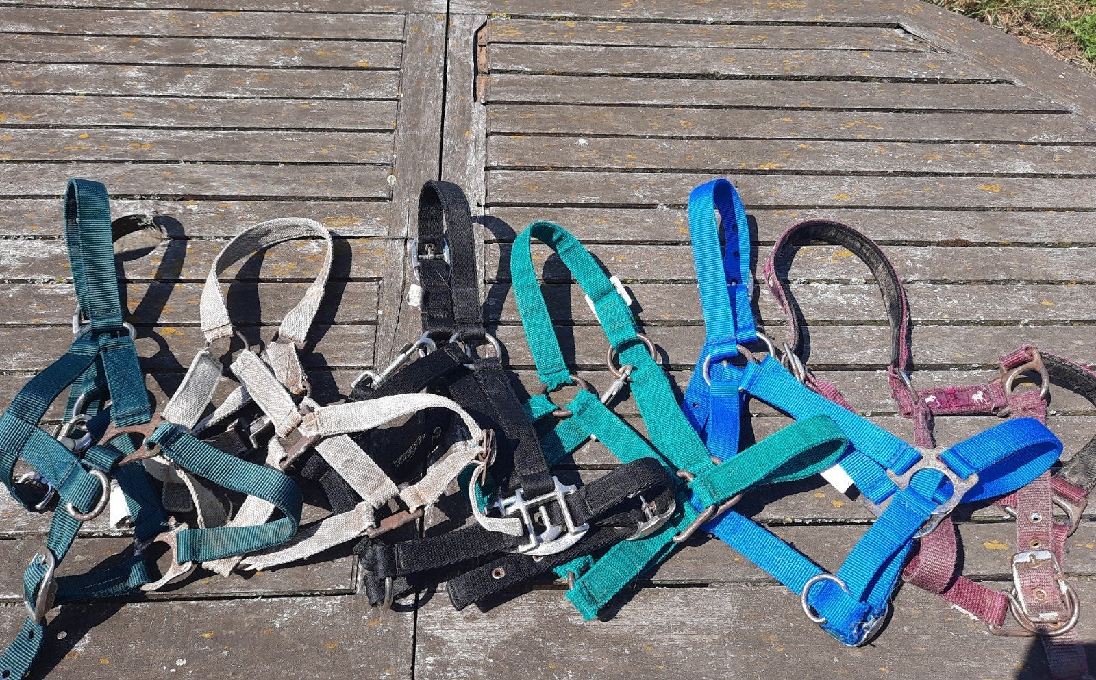 6 verschillende halsters maat pony, Dieren en Toebehoren, Gebruikt, Overige disciplines, Meerkleurig, Halster