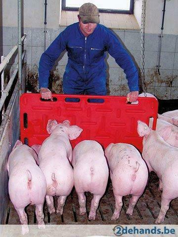 Drijfplank varkens - drijfpagaai - Agrodieren beste prijs, Zakelijke goederen, Landbouw | Werktuigen, Ophalen of Verzenden, Veehouderij