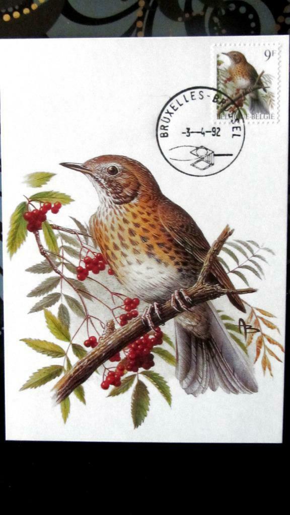 FIRST DAY OP KAART- VOGELS VAN BUZIN- DE ZANGLIJSTER, Ophalen of Verzenden, Gestempeld, Dier of Natuur