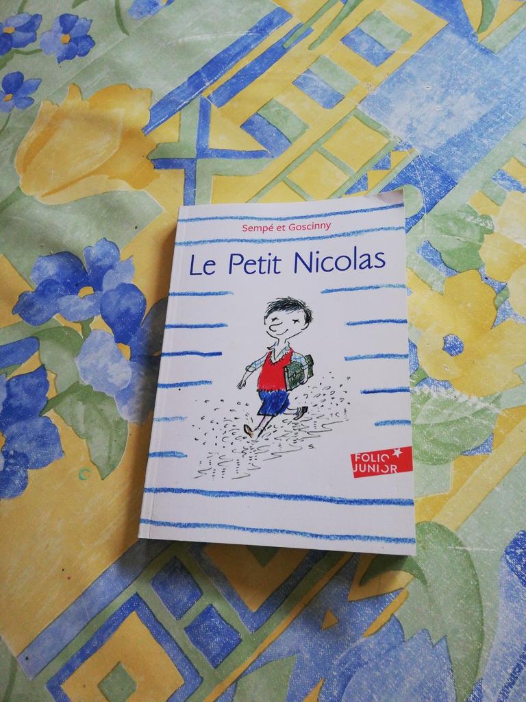 Le petit Nicolas. Sempe et Goscinny., Livres, Enlèvement ou Envoi, Comme neuf