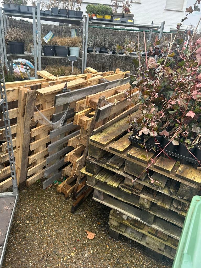 Pallets gratis, Doe-het-zelf en Bouw, Hout en Planken, Ophalen, Gebruikt