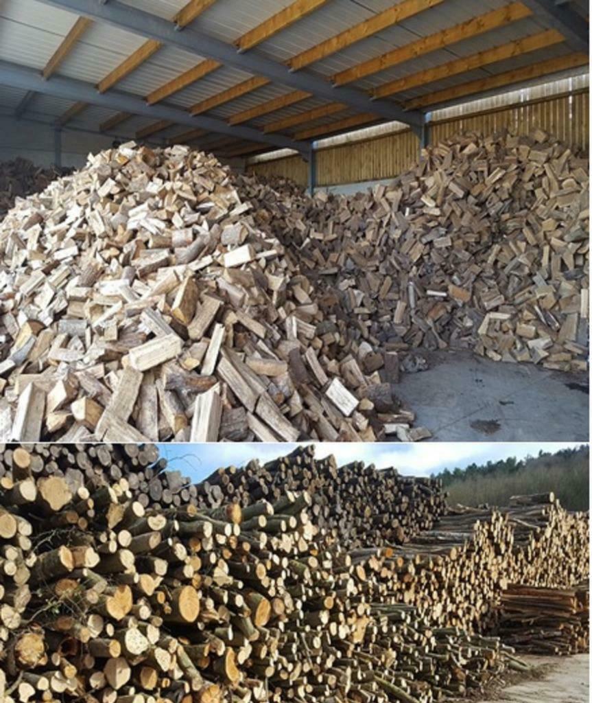 BRANDHOUT LOGS 12 maanden tussen 10 en 75 ster ( stère), Tuin en Terras, 6 m³ of meer, Verzenden, Overige houtsoorten, Blokken