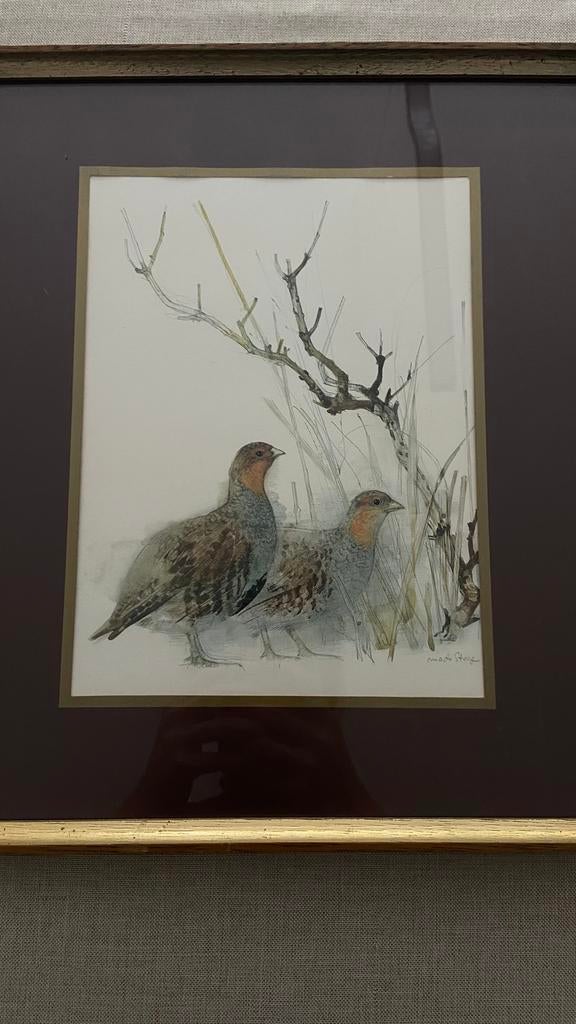 Mad stage aquarellen patrijzen & fazant (wild/fauna), Enlèvement
