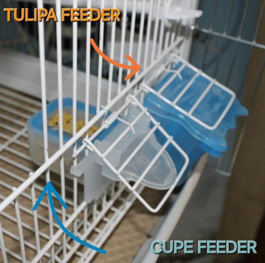 Cupe Feeder - Moldes Ave, Ophalen