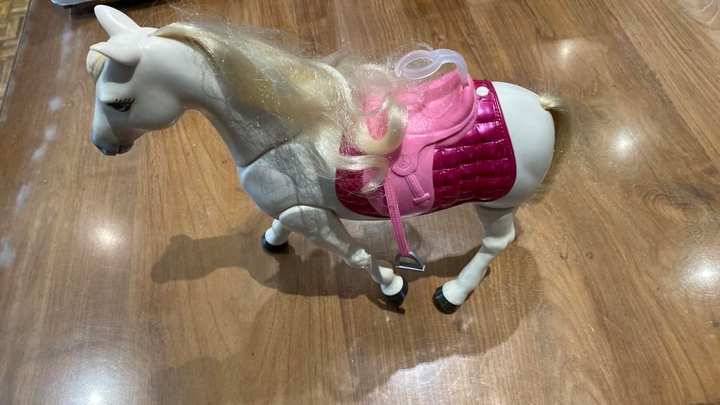 Barbie paard dat kan stappen, Enlèvement, Barbie