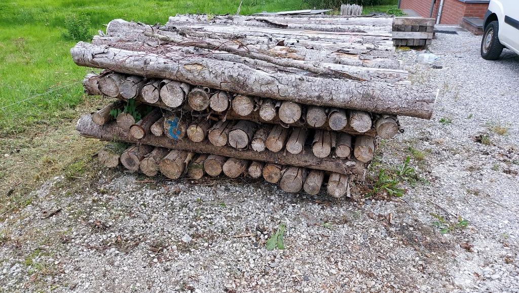 Poteaux bois brut 2M ou bois de chauffage, Enlèvement, Neuf, 180 à 250 cm, Poteaux