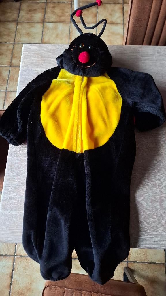 Costume carnaval enfant - coccinelle, Ophalen, Zo goed als nieuw, 104 of kleiner, Jongen of Meisje