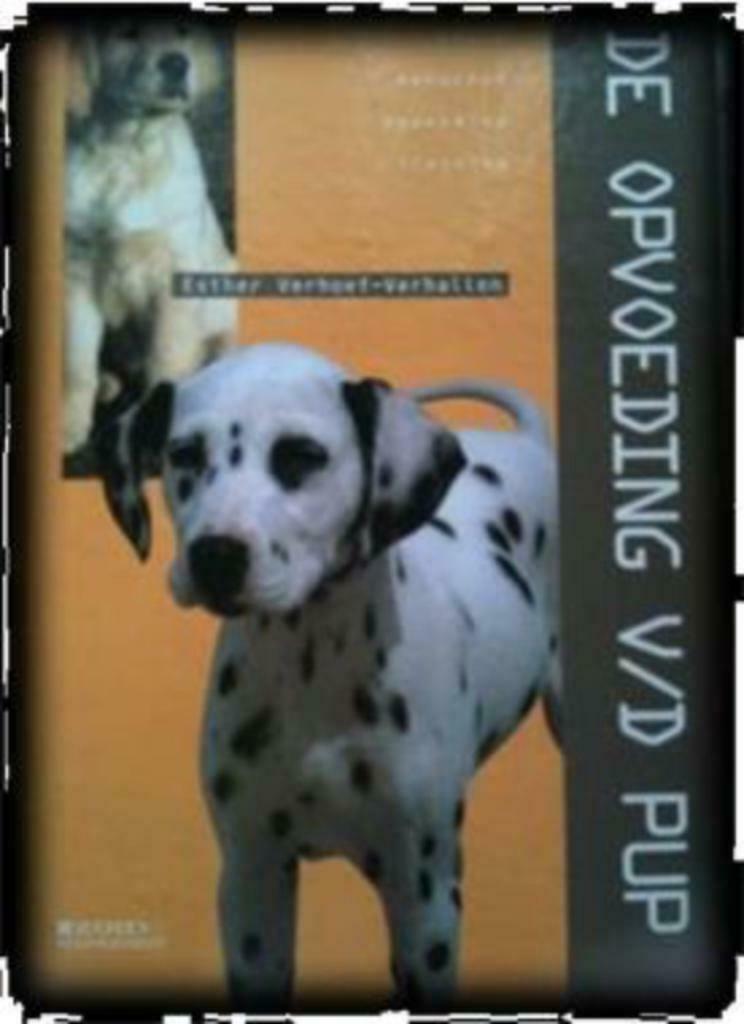 De opvoeding van de pup, Esther Verhoef, Ophalen of Verzenden, Gelezen, Honden