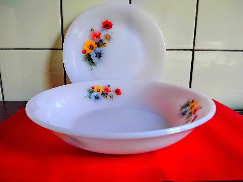 PLAT ET 1 ASSIETTE EN ARCOPAL, Enlèvement, Utilisé