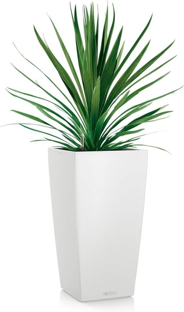 Pot de fleurs à arrosage automatique GRATIS LEVERING, 25 tot 40 cm, Overige materialen, Verzenden, Nieuw