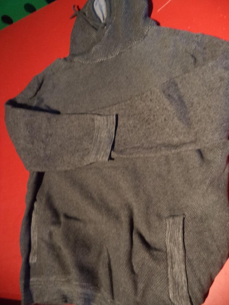 pull homme EDC large gris avec capuche, Vêtements | Hommes, Pulls & Vestes, Gris, Enlèvement ou Envoi, Esprit, Taille 52/54 (L)