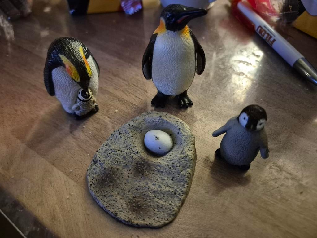 Pinguïns evolutie ei tot volwassen, Verzamelen, Verzenden