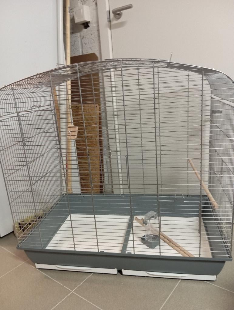 Vogelkooi, Ophalen, Gebruikt, Kunststof, Vogelkooi